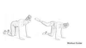 Kneeling glute lift s and side leg lift exercise