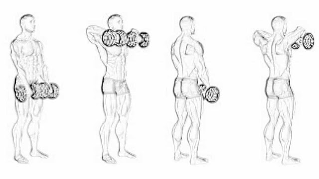 Dumbbell Upright Row