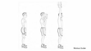 NEUTRAL CURL TO OVERHEAD PRESS