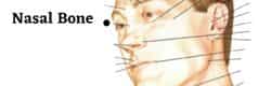 Submandibular Gland